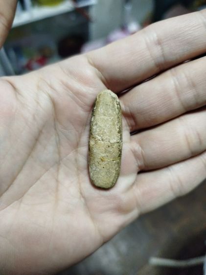 พระลีลากรุวัดอินทรวิหาร รูปที่ 2