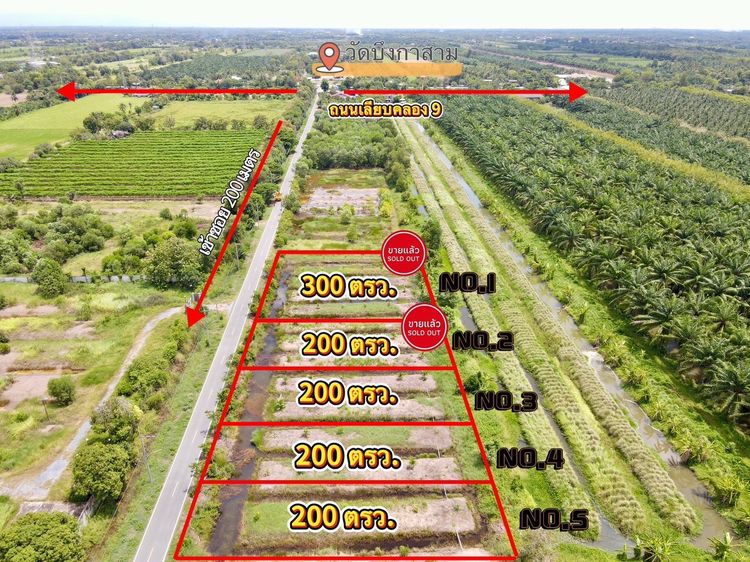 ที่ดินคลอง 9 หนองเสือ ปทุมธานี 200 ตรว. ราคาถูก ทำเลอนาคต เหมาะปลูกบ้าน ทำโกดัง ฟรีค่าโอน รูปที่ 2