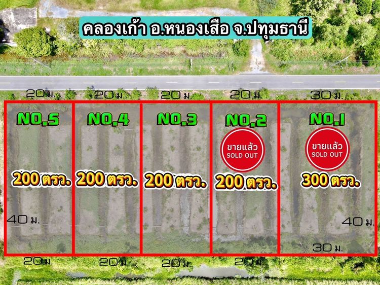 ที่ดินคลอง 9 หนองเสือ ปทุมธานี 200 ตรว. ราคาถูก ทำเลอนาคต เหมาะปลูกบ้าน ทำโกดัง ฟรีค่าโอน รูปที่ 4