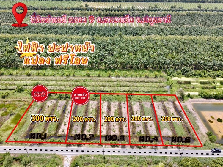 ที่ดินคลอง 9 หนองเสือ ปทุมธานี 200 ตรว. ราคาถูก ทำเลอนาคต เหมาะปลูกบ้าน ทำโกดัง ฟรีค่าโอน
