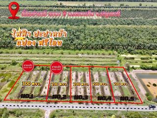 ที่ดินคลอง 9 หนองเสือ ปทุมธานี 200 ตรว. ราคาถูก ทำเลอนาคต เหมาะปลูกบ้าน ทำโกดัง ฟรีค่าโอน