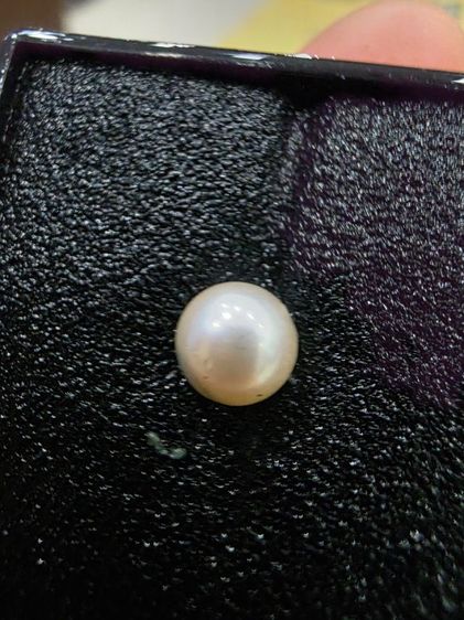 ไข่มุก ของเก่าเก็บ สวยหายาก เดิมๆ ขายตามสภาพ ของที่บ้าน  น่าสะสม สวย พร้อมส่งครับพี่ๆ เดิมๆ พร้อมตลับครับ น่าเก็บสะสมครับ รูปที่ 6