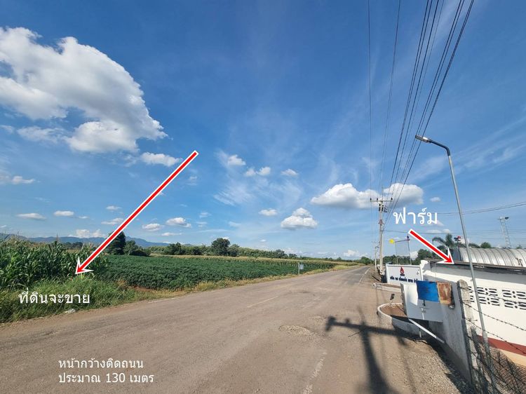 ขายที่ดิน 20ไร่เศษ ต.ลาดแค ชนแดน ขายเหมายกแปลง1.9 ล้าน รูปที่ 2