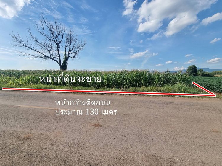 ขายที่ดิน 20ไร่เศษ ต.ลาดแค ชนแดน ขายเหมายกแปลง1.9 ล้าน