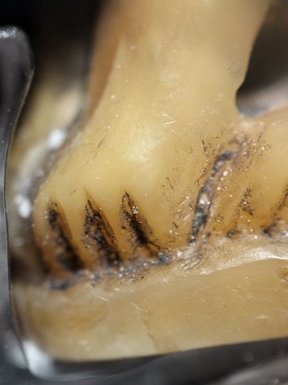 สวยน่ารักฉ่ำๆคลาสสิคเลี่ยมกันน้ำแบบหมุนได้ครับ รูปที่ 13