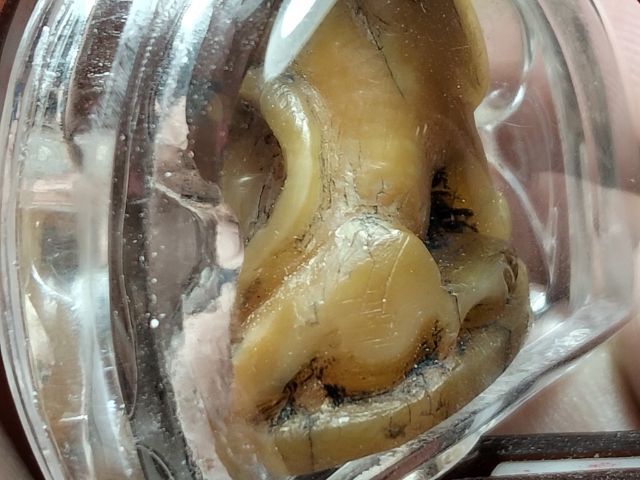 สวยน่ารักฉ่ำๆคลาสสิคเลี่ยมกันน้ำแบบหมุนได้ครับ รูปที่ 17