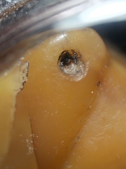 สวยน่ารักฉ่ำๆคลาสสิคเลี่ยมกันน้ำแบบหมุนได้ครับ รูปที่ 9