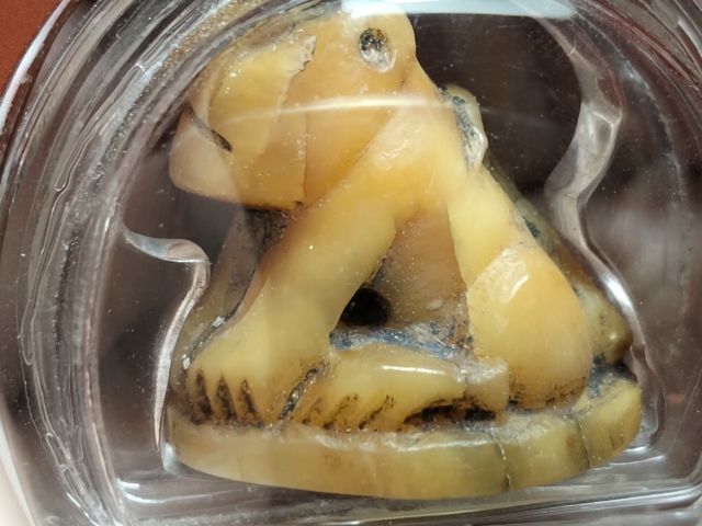 สวยน่ารักฉ่ำๆคลาสสิคเลี่ยมกันน้ำแบบหมุนได้ครับ