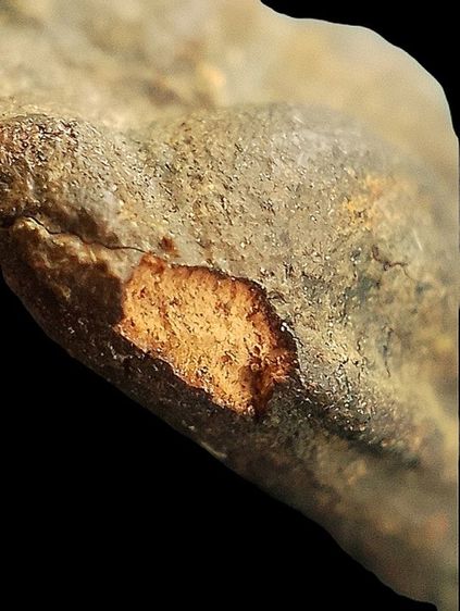 หลวงปู่ศุข วัดมะขามเฒ่า. รูปที่ 16