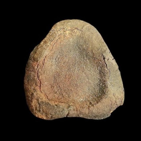 หลวงปู่ศุข วัดมะขามเฒ่า. รูปที่ 2