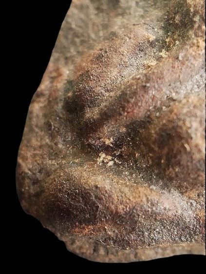 หลวงปู่ศุข วัดมะขามเฒ่า. รูปที่ 8