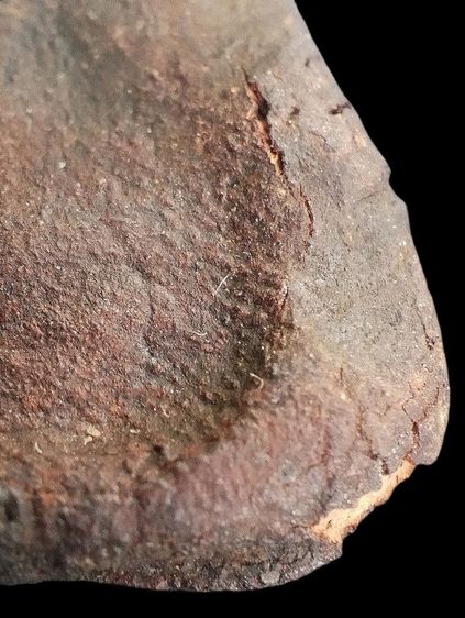 หลวงปู่ศุข วัดมะขามเฒ่า. รูปที่ 13