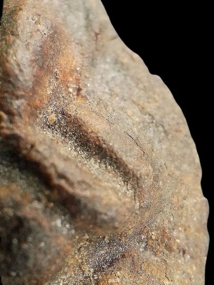 หลวงปู่ศุข วัดมะขามเฒ่า. รูปที่ 9