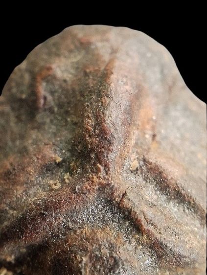 หลวงปู่ศุข วัดมะขามเฒ่า. รูปที่ 5