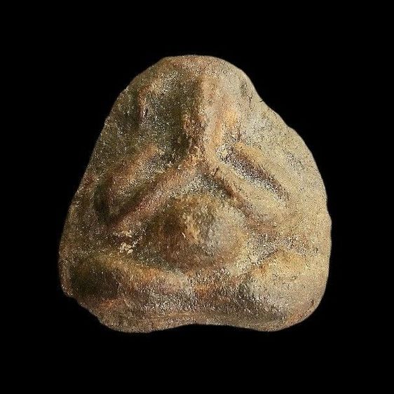 หลวงปู่ศุข วัดมะขามเฒ่า.