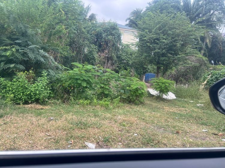 ใช่ ที่ดินเปล่า รูปที่ 3