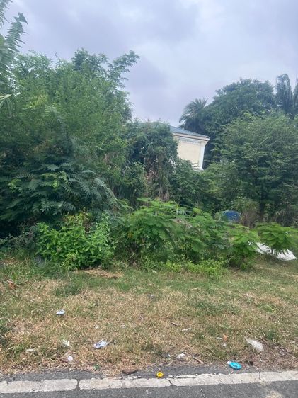 ใช่ ที่ดินเปล่า รูปที่ 2