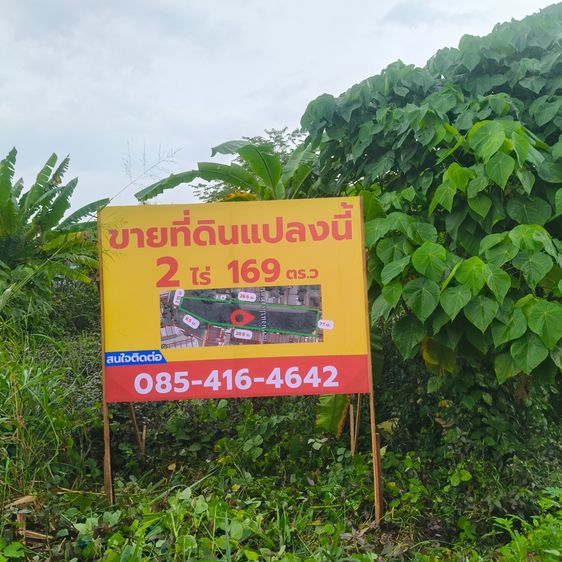 ที่ดินมีโฉนด นส.4 