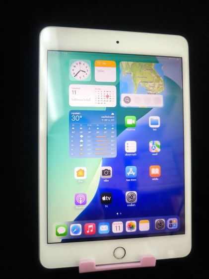 Ipad mini (รุ่นที่ 5) 256 GB 