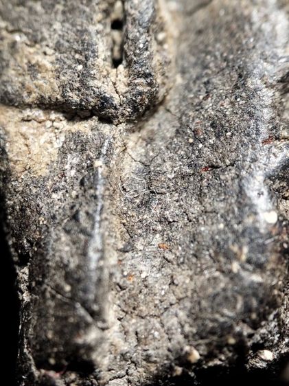 หลวงปู่ทวดเนื้อว่านเก่าจัดครับ รูปที่ 14