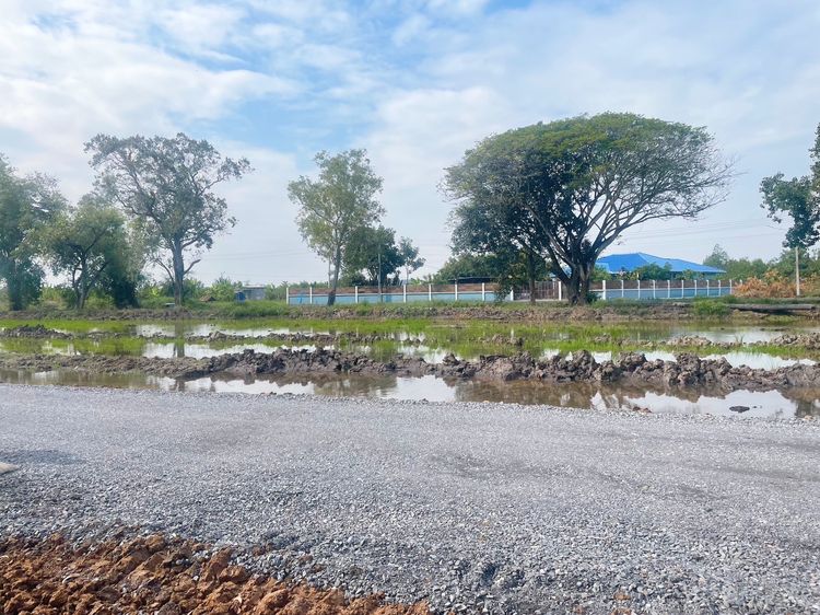 ขายที่ดินติดคลอง คลอง 11 หนองเสือ ปทุมธานี – รูปแปลงสวย หน้าติดถนนสาธารณะ
