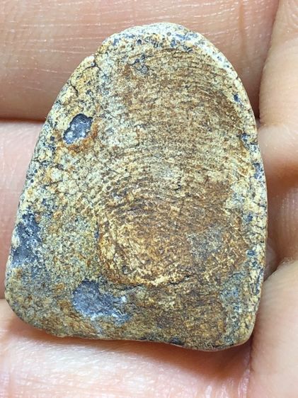 พระเก่าๆ พระเหมาๆบ้านๆ พระคนแก่เก่าๆเก็บ ทิ้งใว้ก่อนจากไป 081-3330446 line tonyabu  รูปที่ 13