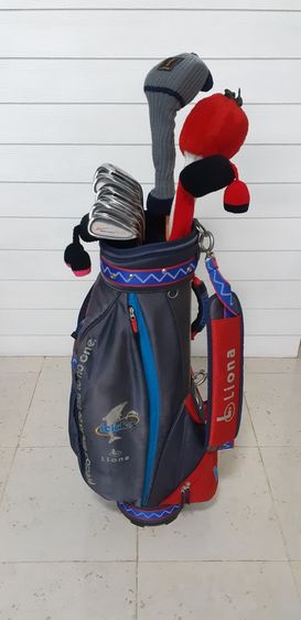 ชุดไม้กอล์ฟครบชุดสำหรับผู้หญิง - WORLD EAGLE(รุ่นใหม่)