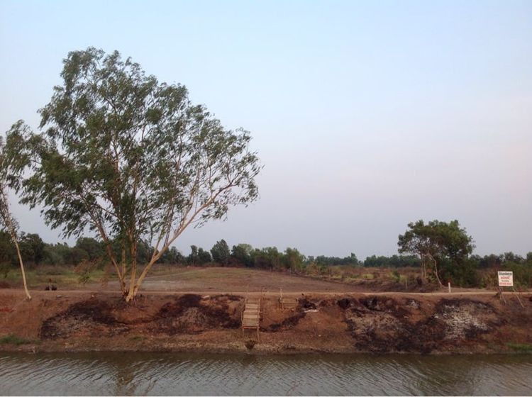 ที่ดินติดถนนเลียบคลอง14(ตะวันออก)