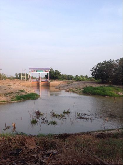 ที่ดินติดถนนเลียบคลอง14(ตะวันออก) รูปที่ 2