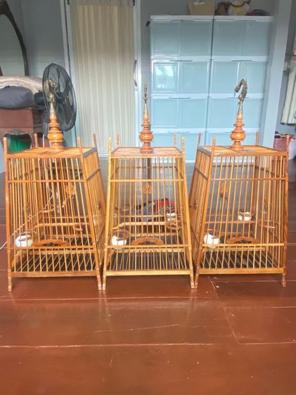 กรงนกหัวจุก