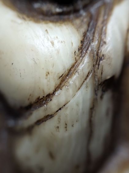 ชิ้นใหญ่ๆมีจารครับ รูปที่ 17