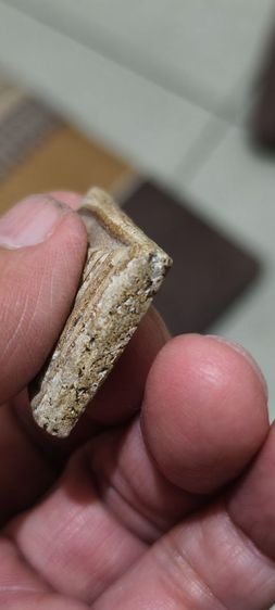 พระสมเด็จเก่าๆ รูปที่ 7