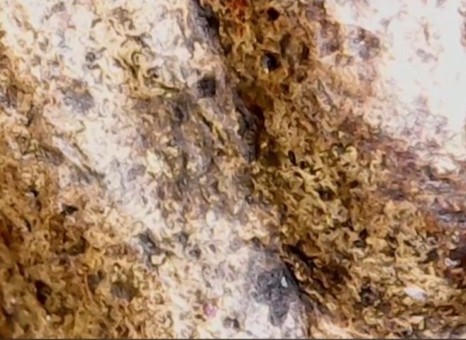 รูปหล่อโบราณ หลวงพ่อจง วัดหน้าต่างนอก รูปที่ 5