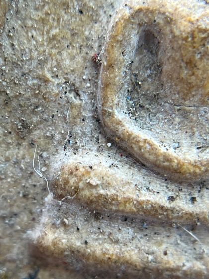 สมเด็จวัดระฆังพิมพ์ใหญ่ หลัง ปูไต่(170) รูปที่ 12