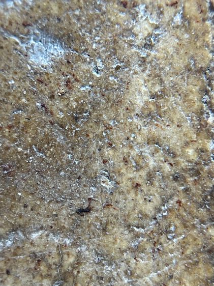 สมเด็จวัดระฆังพิมพ์ใหญ่ หลัง ปูไต่(170) รูปที่ 16