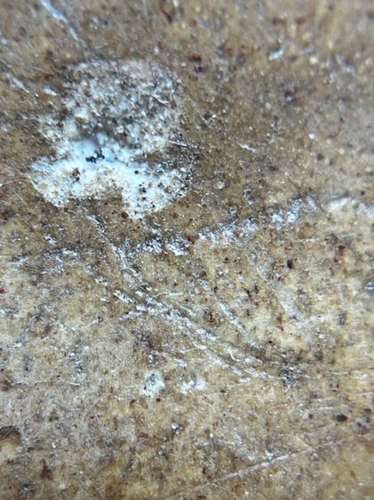 สมเด็จวัดระฆังพิมพ์ใหญ่ หลัง ปูไต่(170) รูปที่ 15