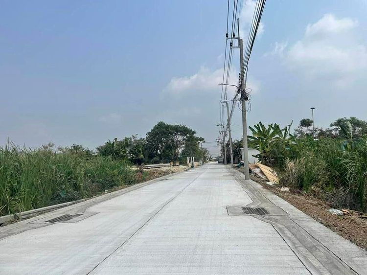 ขายที่เปล่า 101 ตรว. รูปที่ 3