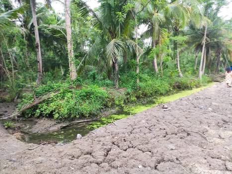 ขายที่ดินร่องสวน 1 ไร่ คลองเขิน แม่กลอง ติดคลอง ติดถนน ใกล้ตลาดน้ำท่าคา