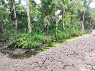 ขายที่ดินร่องสวน 1 ไร่ คลองเขิน แม่กลอง ติดคลอง ติดถนน ใกล้ตลาดน้ำท่าคา