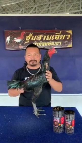 แบ่งพ่อพันธุ์ป่าก๋อยสามเอี่ยว100 รูปที่ 2