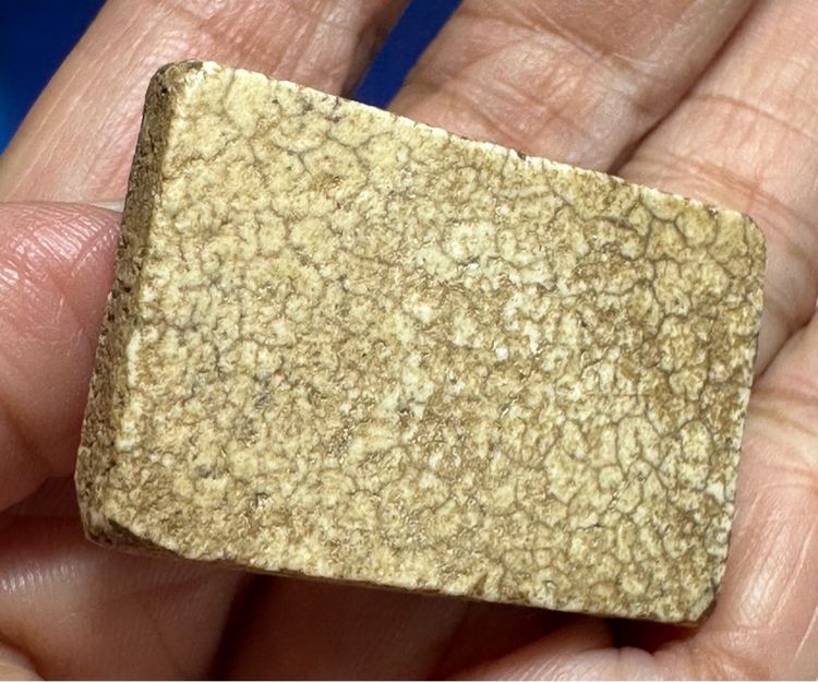 พระสมเด็จวัดเกศไชโย รูปที่ 7