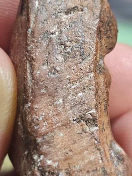 พระนางพญาล้างลัก รูปที่ 3