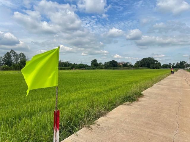 ไม่ใช่ ที่ดินสวย ทำเลทอง ติดถนนคอนกรีต ที่ดินคลอง11 รังสิต ปทุมธานี 1 ไร่ 1.45 ล้าน  รูปที่ 3