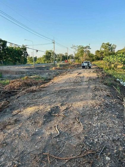 ไม่ใช่ ที่ดินคลอง10 รังสิต ปทุมธานี ไร่ละ 1.2 ล้าน รูปที่ 3