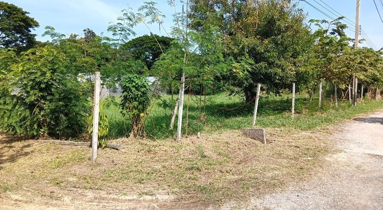 ที่ดิน 1ไร่ 1 งาน 40 ตร.วา ใกล้แหล่งชุมชน เสาธงหิน บางใหญ่ นนทบุรี รูปที่ 3