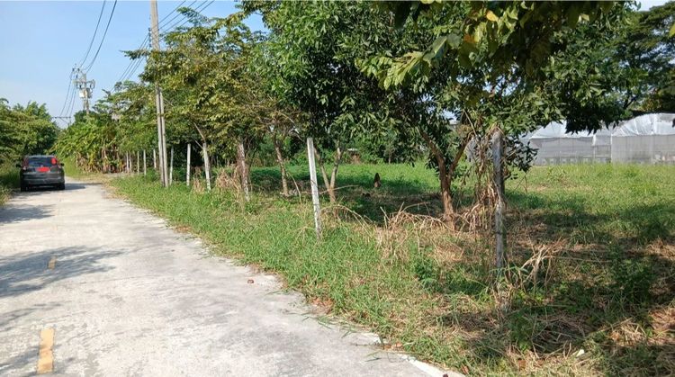 ที่ดิน 1ไร่ 1 งาน 40 ตร.วา ใกล้แหล่งชุมชน เสาธงหิน บางใหญ่ นนทบุรี รูปที่ 2