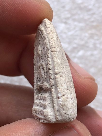 หลวงพ่ออ้น วัดบางจาก รูปที่ 5