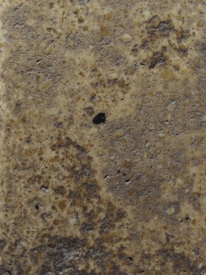 พระสมเด็จ วัดระฆัง พิมพ์ใหญ่ เนื้อกระยาสารท สภาพใช้ รูปที่ 7