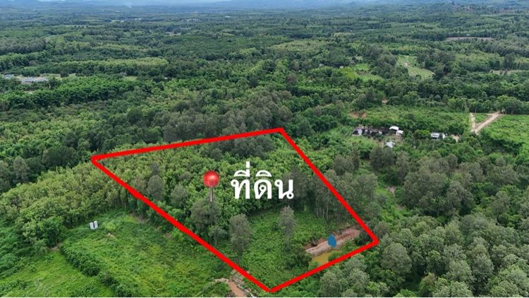 ใช่ ขายด่วน ที่ดิน 7ไร่ 3งาน 90ตรว  น่าน โฉนดครุฑแดง ติด Wellness Studio ใกล้โรงพยาบาลและสนามบิน โอนภายใน 45 วัน 6.5 ล้าน รูปที่ 2