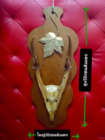 แท้เก่าโบราณขนาดใหญ่สภาพเยี่ยม